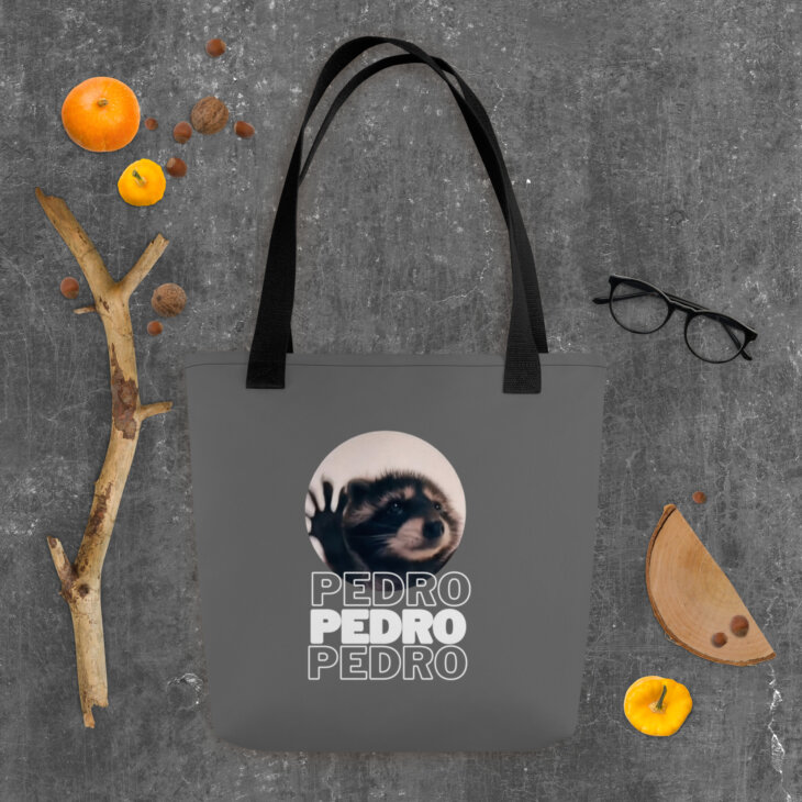 Bolso de Tela "Pedro Pedro Pedro" - Imagen 4