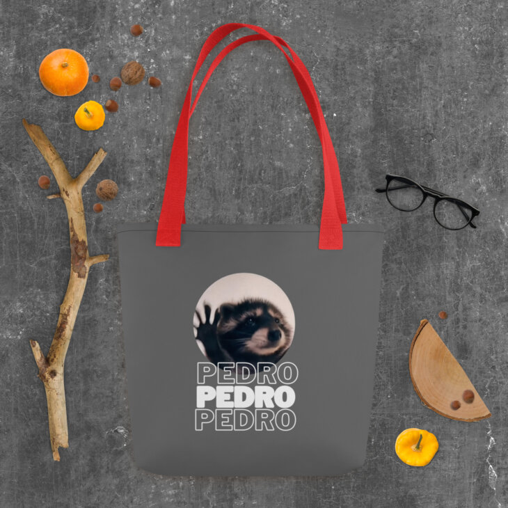 Bolso de Tela "Pedro Pedro Pedro" - Imagen 8