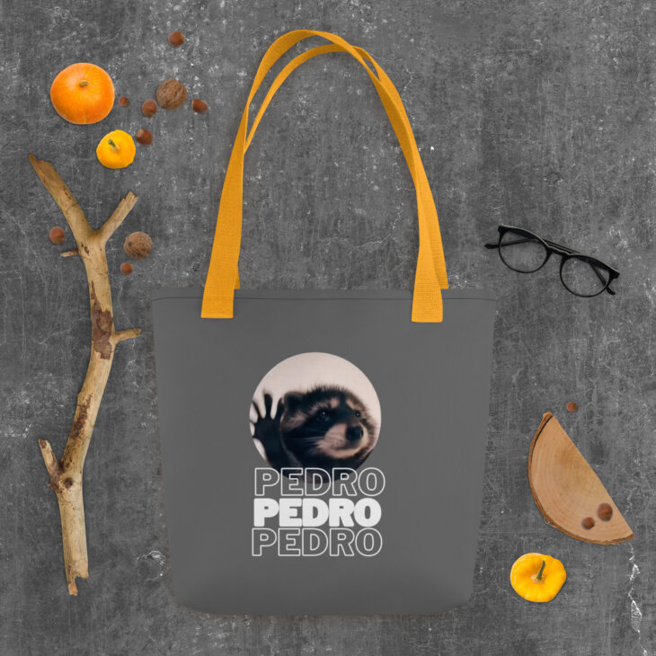 Bolso de Tela "Pedro Pedro Pedro" - Imagen 12